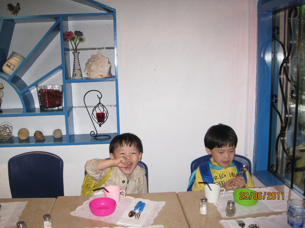 20110629三隻母雞