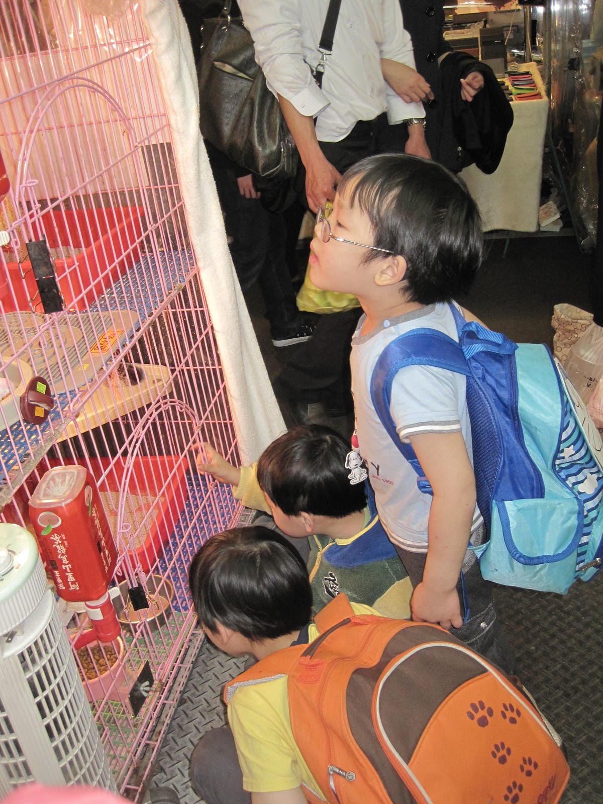 IMG_1400.JPG IMG_1400.JPG