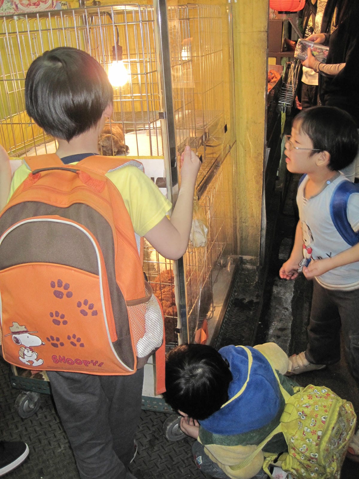 IMG_1398.JPG IMG_1398.JPG