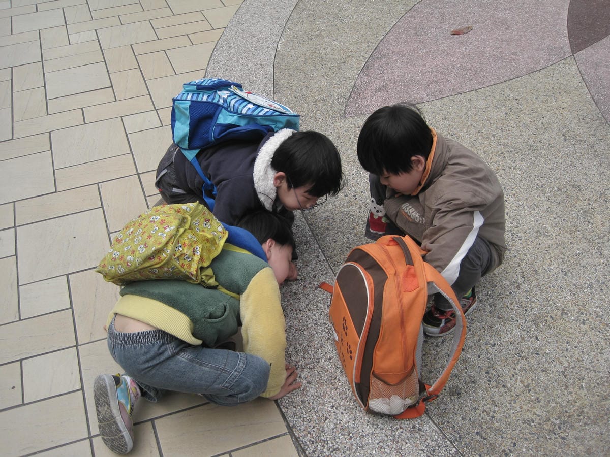 IMG_1375.JPG IMG_1375.JPG