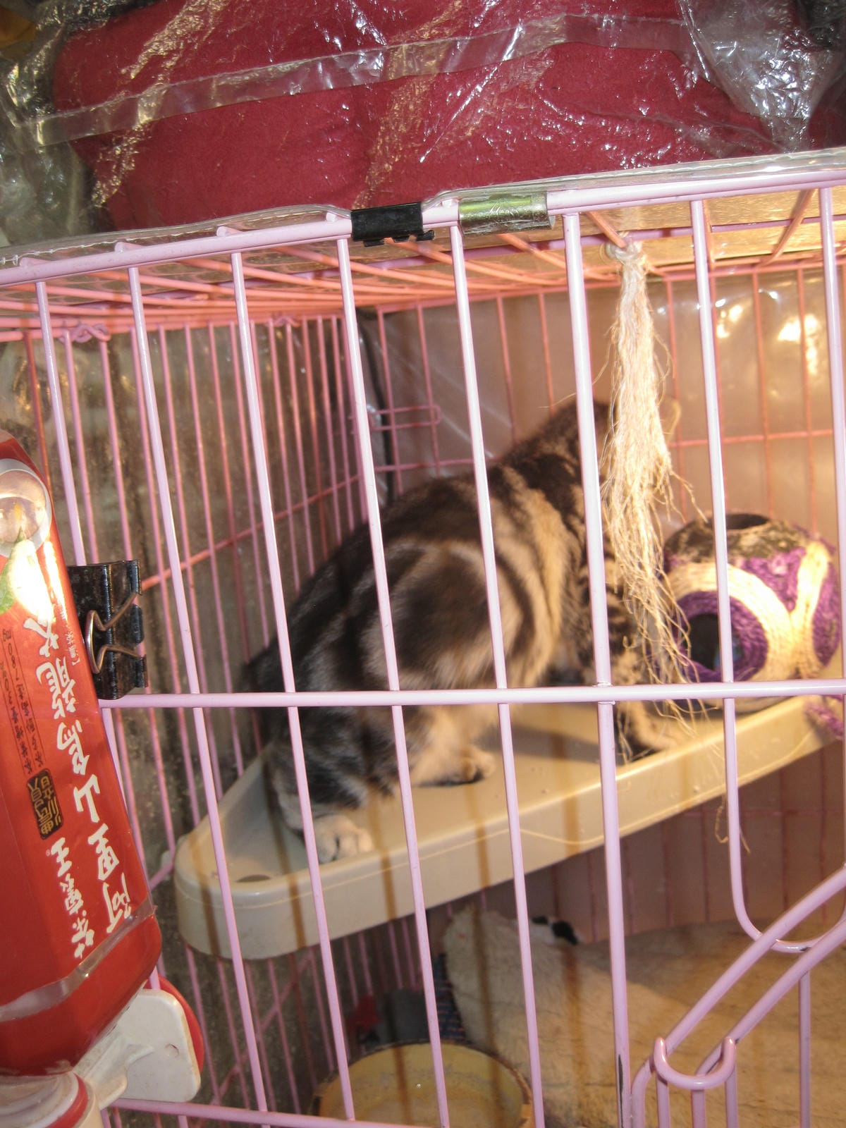 IMG_1401.JPG IMG_1401.JPG