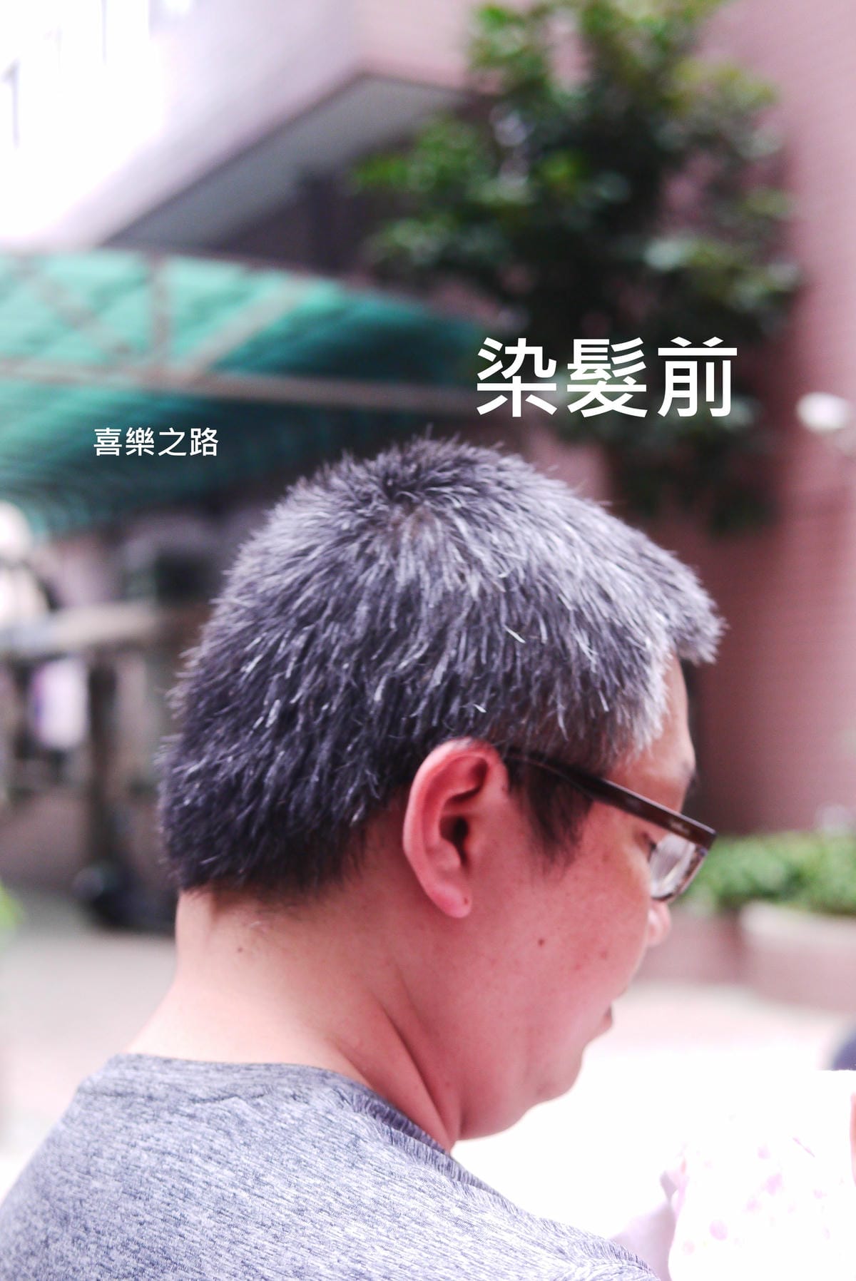 P1560947.JPG P1560947.JPG