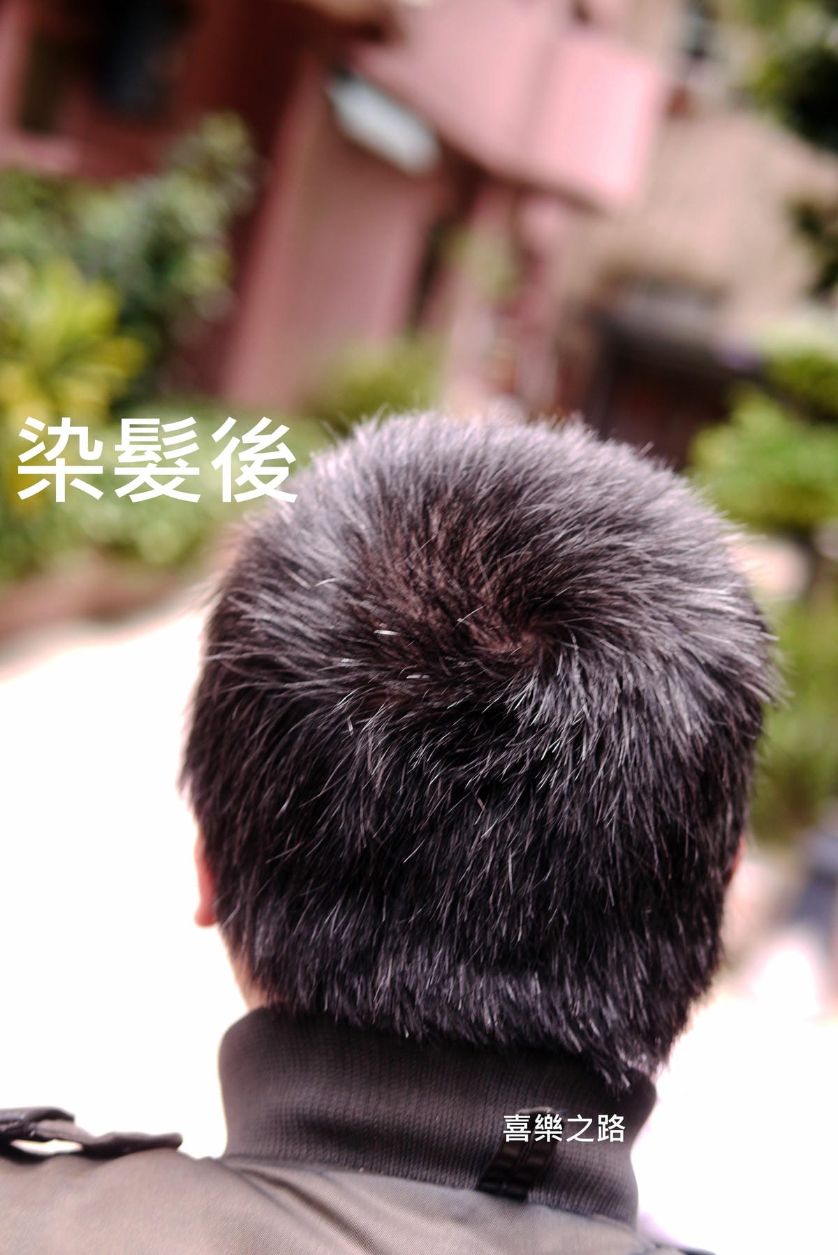 P1560945-- (2).JPG P1560945-- (2).JPG