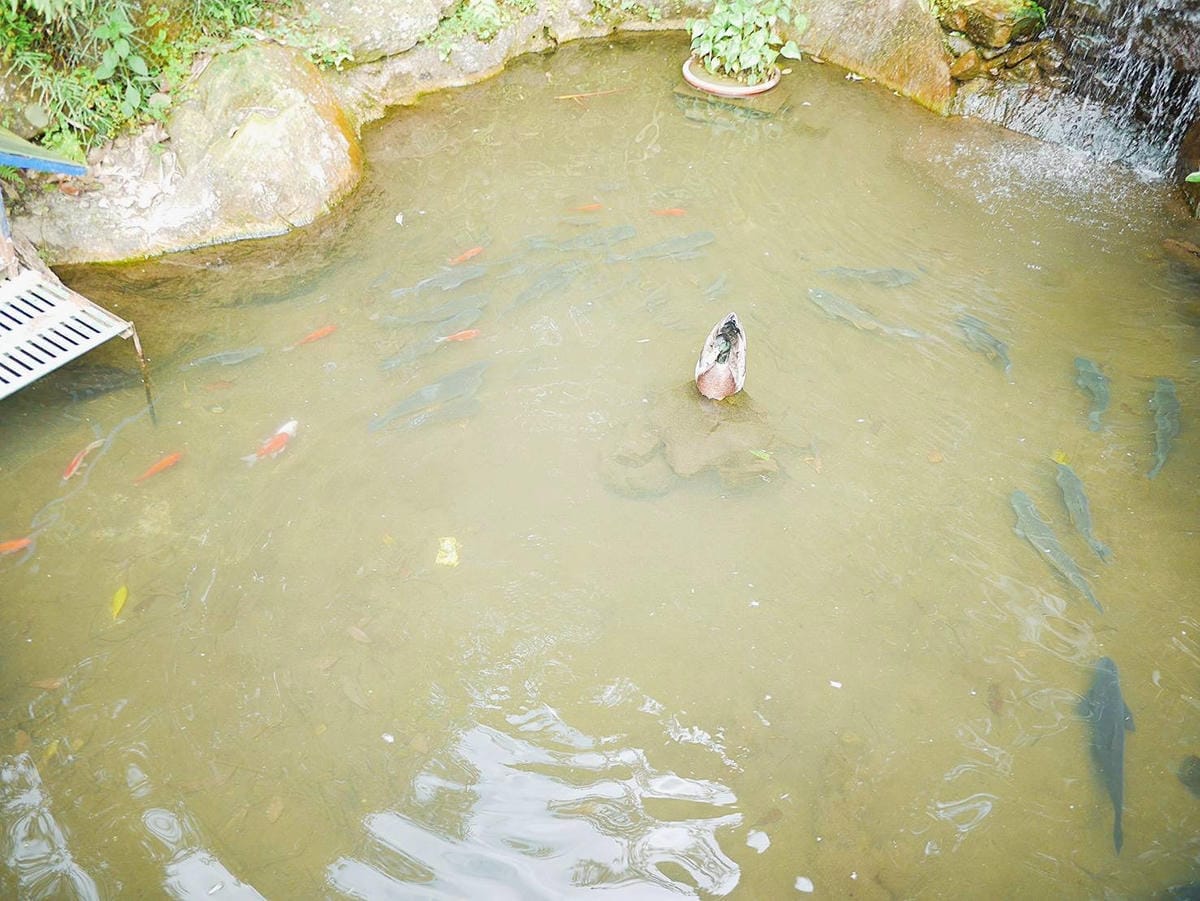 154559.jpg 154559.jpg