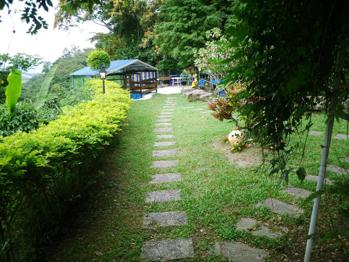 154557.jpg 154557.jpg