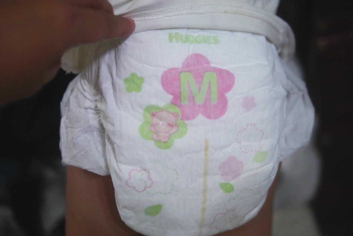 P1650481----.jpg P1650481----.jpg