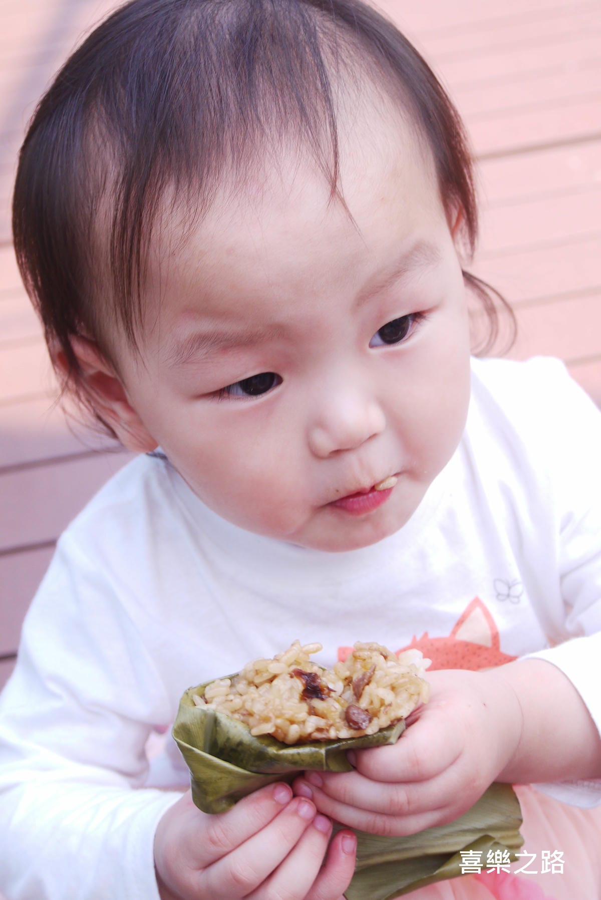 P1680523.JPG P1680523.JPG