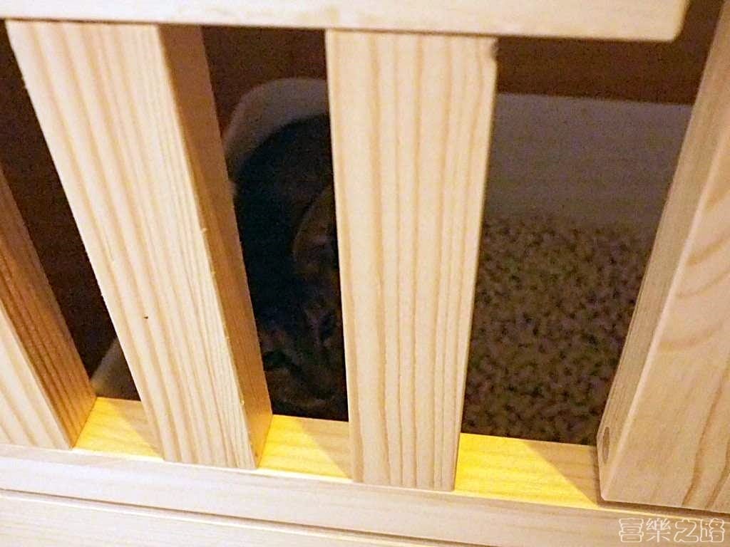 弄宅咖啡 貓中途 松江南京站美食 台北下午茶推薦 (11)貓休息中.jpg 弄宅咖啡 貓中途 松江南京站美食 台北下午茶推薦 (11)貓休息中.jpg