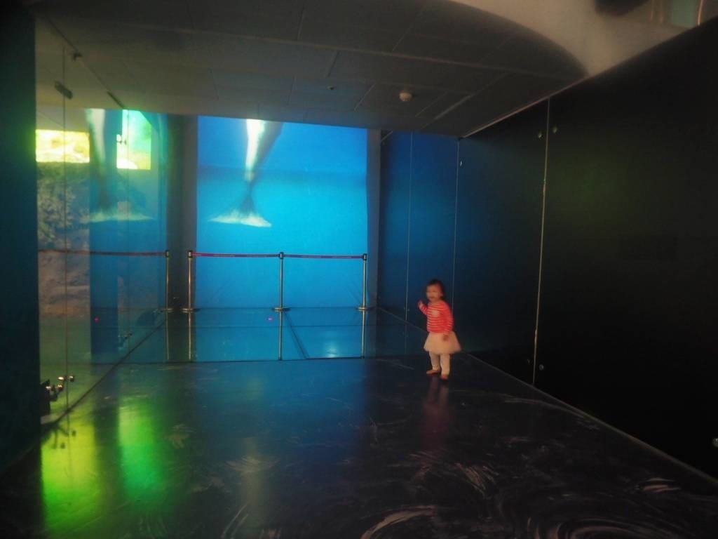 基隆景點 國立海洋科技博物館-海龜的奇幻旅程-全國最大IMAX3D-親子共遊體驗-海科館兒童館超好玩-基隆室內景點推薦 (18).jpg 基隆景點 國立海洋科技博物館-海龜的奇幻旅程-全國最大IMAX3D-親子共遊體驗-海科館兒童館超好玩-基隆室內景點推薦 (18).jpg