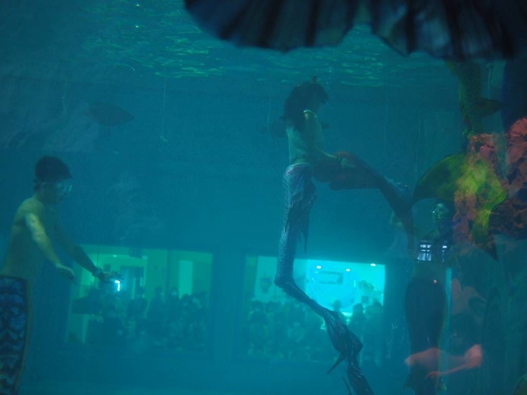 基隆景點 國立海洋科技博物館-海龜的奇幻旅程-全國最大IMAX3D-親子共遊體驗-海科館兒童館超好玩-基隆室內景點推薦 (4).jpg 基隆景點 國立海洋科技博物館-海龜的奇幻旅程-全國最大IMAX3D-親子共遊體驗-海科館兒童館超好玩-基隆室內景點推薦 (4).jpg