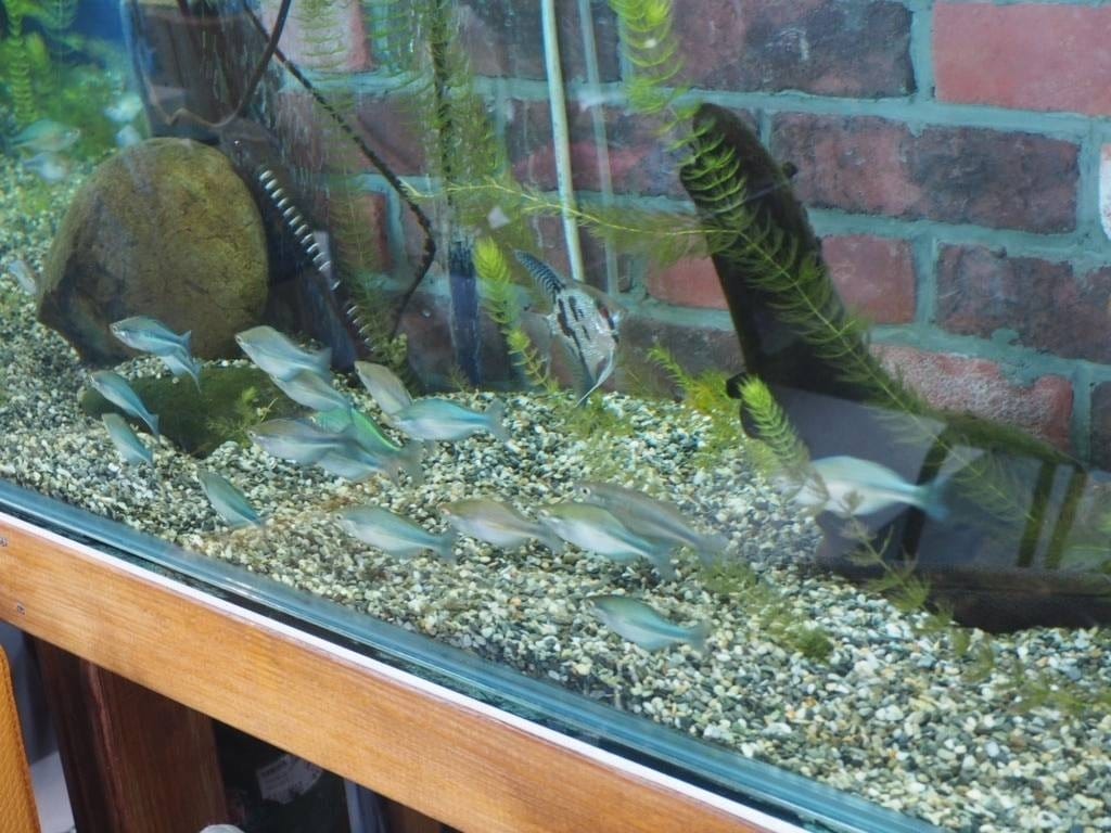 海科館美食推薦 五樓親子友善餐薦 基隆美食推薦 藻樂趣海藻創意美食湖海灣店 (19).jpg 海科館美食推薦 五樓親子友善餐薦 基隆美食推薦 藻樂趣海藻創意美食湖海灣店 (19).jpg