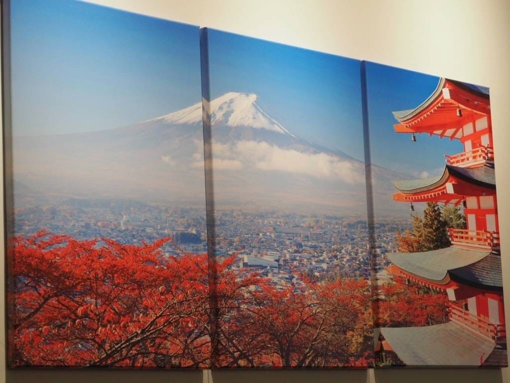 燒肚_201008_17.jpg 燒肚_201008_17.jpg