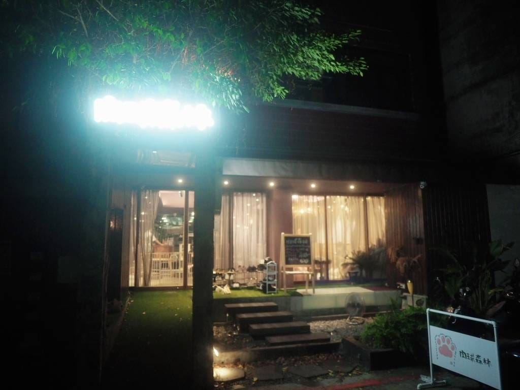 肉球森林_捷運東門站美食_小動物很療癒,低消300不含服務費,5歲以下止步,12歲以上才可以跟大嘴鳥 狐蒙近距離接觸 (20).jpg 肉球森林_捷運東門站美食_小動物很療癒,低消300不含服務費,5歲以下止步,12歲以上才可以跟大嘴鳥 狐蒙近距離接觸 (20).jpg