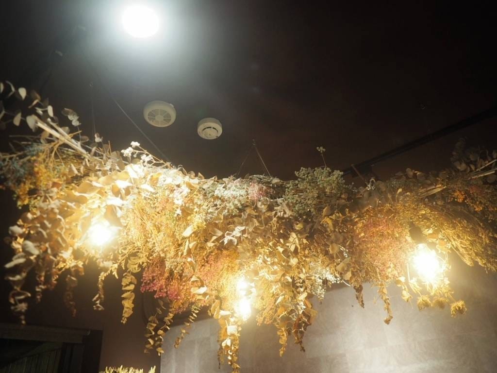 肉球森林_捷運東門站美食_小動物很療癒,低消300不含服務費,5歲以下止步,12歲以上才可以跟大嘴鳥 狐蒙近距離接觸 (2).jpg 肉球森林_捷運東門站美食_小動物很療癒,低消300不含服務費,5歲以下止步,12歲以上才可以跟大嘴鳥 狐蒙近距離接觸 (2).jpg