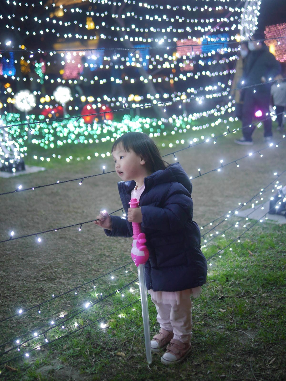 228連假 新竹燈會好好玩 水圳公園怎麼玩最有趣 (1).JPG 228連假 新竹燈會好好玩 水圳公園怎麼玩最有趣 (1).JPG