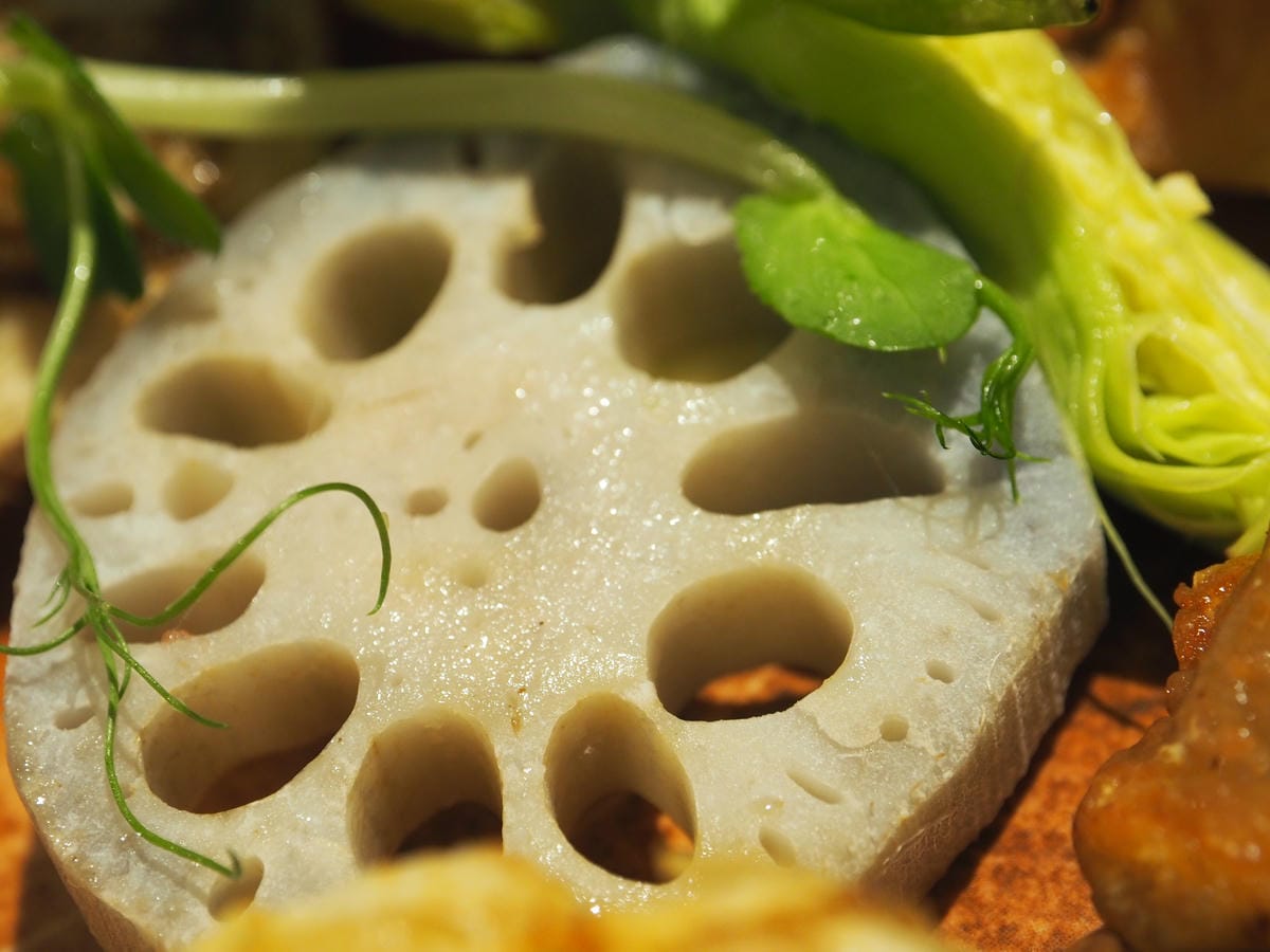 新竹約會餐廳推薦 竹北氣氛好餐廳【索鐵】燈光美 氣氛佳 新竹高鐵美食餐廳 親子友善餐廳 鴨腿芋泥 雞腿肉酥皮 (29).JPG 新竹約會餐廳推薦 竹北氣氛好餐廳【索鐵】燈光美 氣氛佳 新竹高鐵美食餐廳 親子友善餐廳 鴨腿芋泥 雞腿肉酥皮 (29).JPG