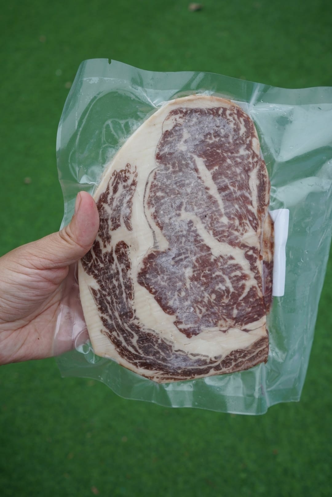 278879091_1178440649575975_141615923842159853.jpg 278879091_1178440649575975_141615923842159853.jpg