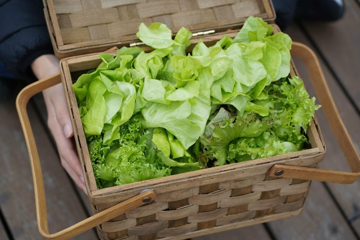 278897532_1178555982897775_2443689077920524423.jpg 278897532_1178555982897775_2443689077920524423.jpg