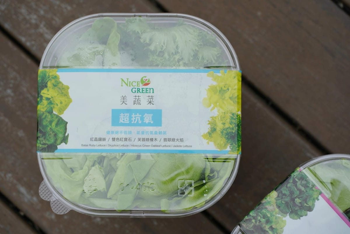 278894734_1178439872909386_8362495373103622613.jpg 278894734_1178439872909386_8362495373103622613.jpg