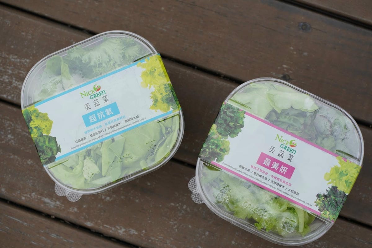 279383129_1182631025823604_2938836531495290722.jpg 279383129_1182631025823604_2938836531495290722.jpg