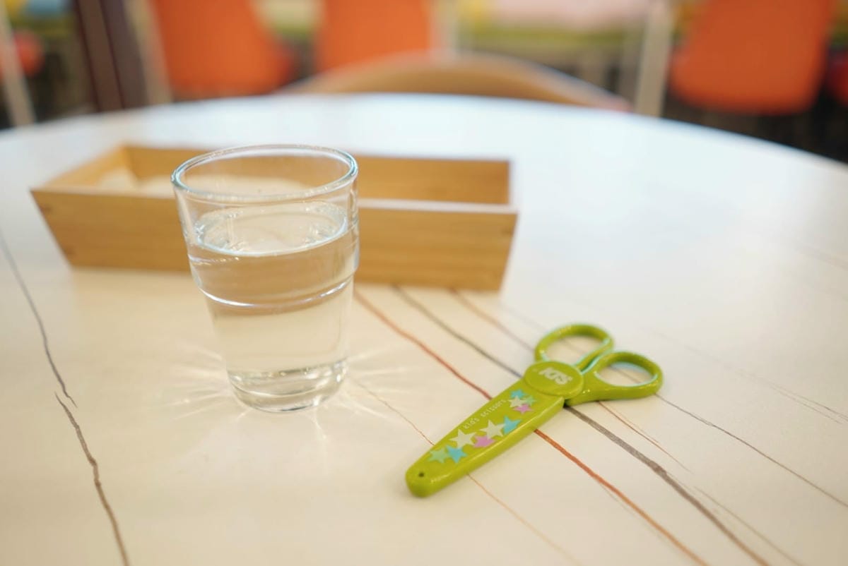 279391357_1182959182457455_316734352541107246.jpg 279391357_1182959182457455_316734352541107246.jpg