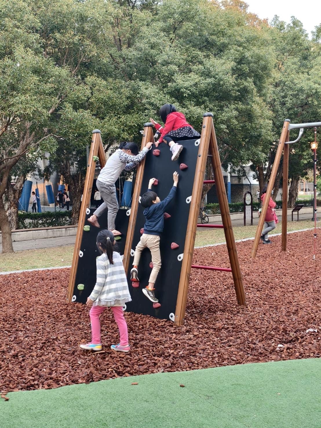 竹北公園推薦 藤蔓冒險遊戲場(高鐵公二公園)竹北文興路公園 