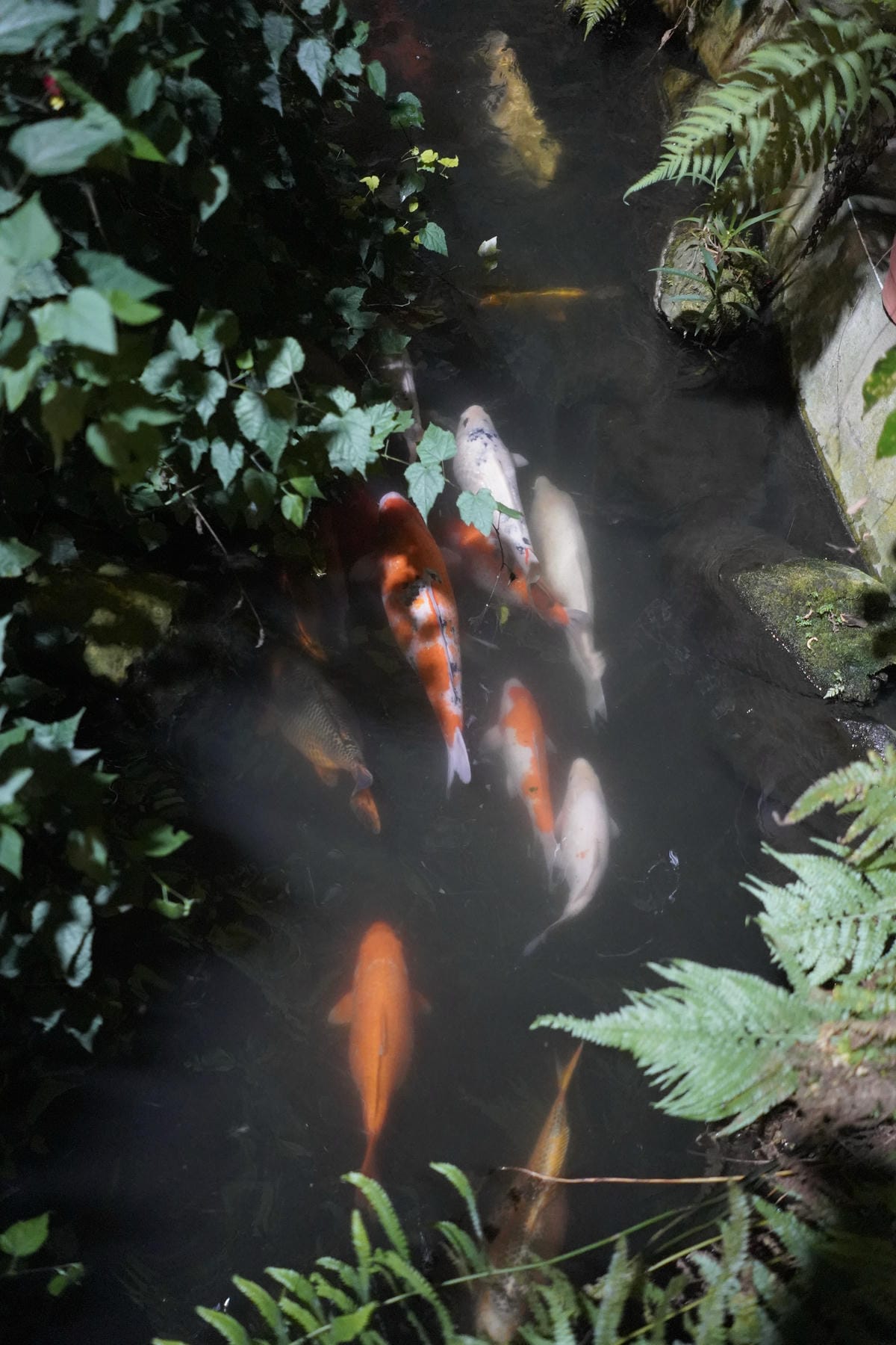 台南包棟民宿烤肉卡拉ok麻將通通都有: 埔里觀瀑渡假民宿