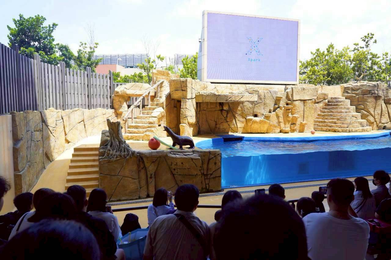 二訪 桃園親子景點 Xpark企鵝 Xpark餐廳